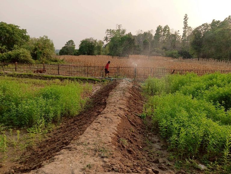 LINE_ALBUM_นาสหการ2_260506_31