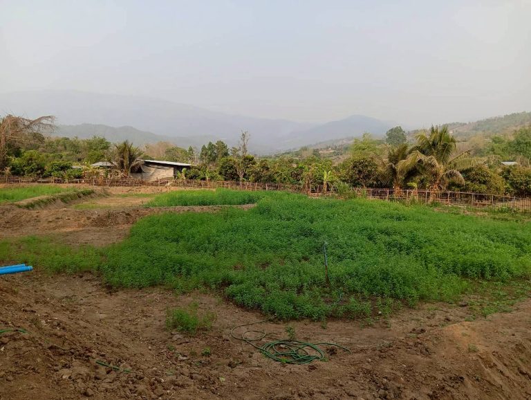 LINE_ALBUM_นาสหการ2_260506_34