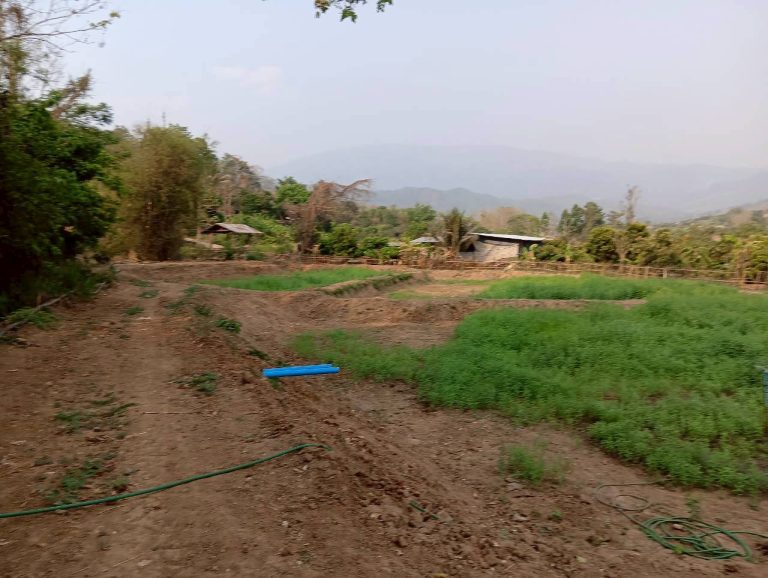 LINE_ALBUM_นาสหการ2_260506_35