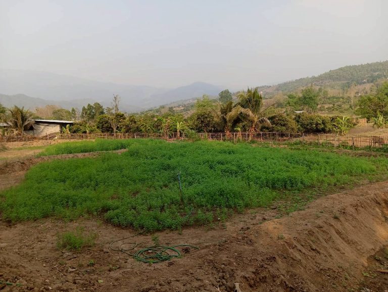 LINE_ALBUM_นาสหการ2_260506_37