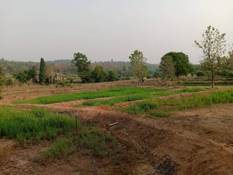 LINE_ALBUM_นาสหการ2_260506_38