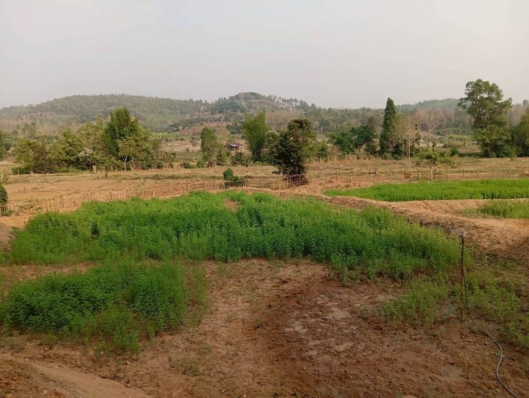 LINE_ALBUM_นาสหการ2_260506_39