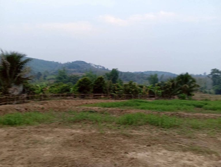 LINE_ALBUM_นาสหการ2_260506_4