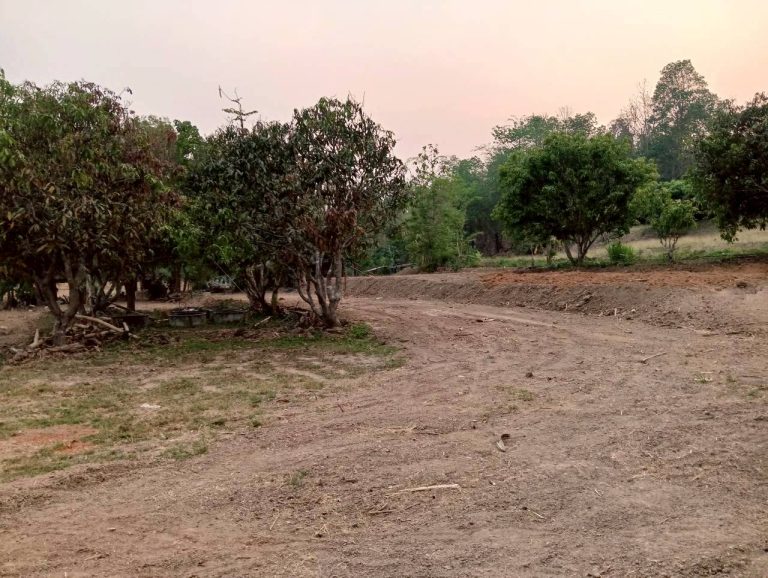 LINE_ALBUM_นาสหการ2_260506_45