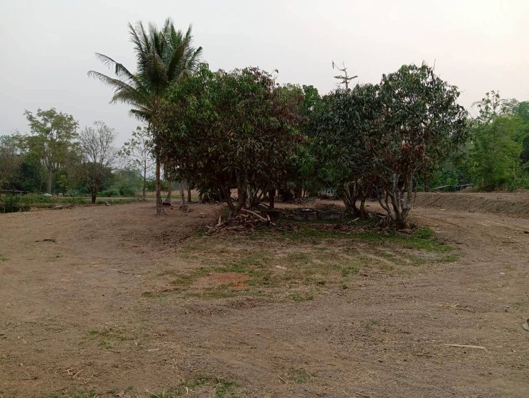 LINE_ALBUM_นาสหการ2_260506_46