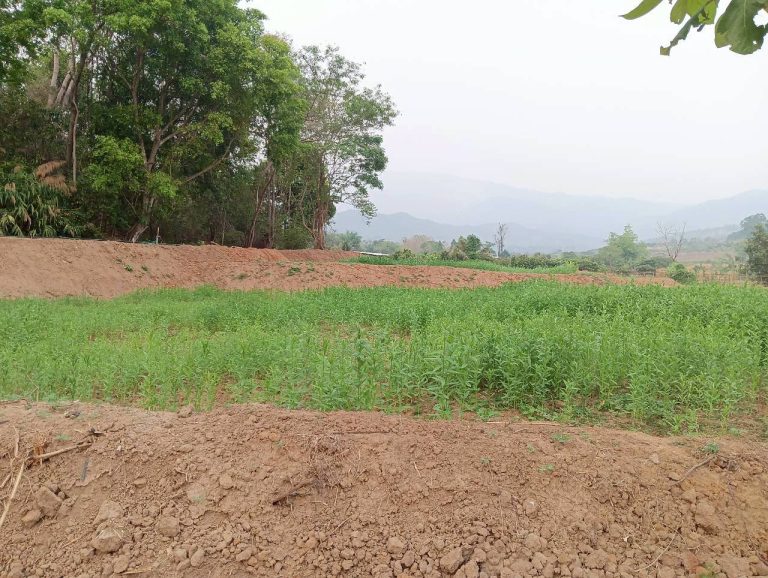 LINE_ALBUM_นาสหการ2_260506_48
