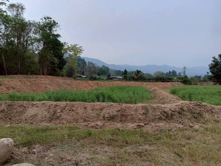 LINE_ALBUM_นาสหการ2_260506_5