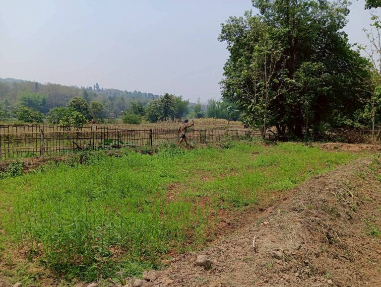 LINE_ALBUM_นาสหการ2_260506_53