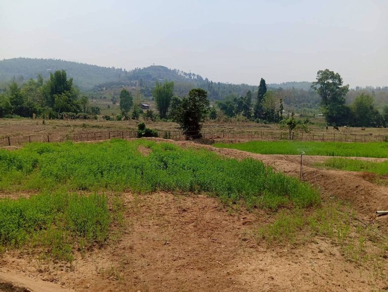 LINE_ALBUM_นาสหการ2_260506_55