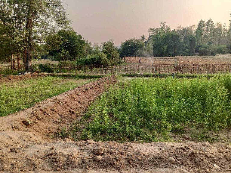 LINE_ALBUM_นาสหการ2_260506_61