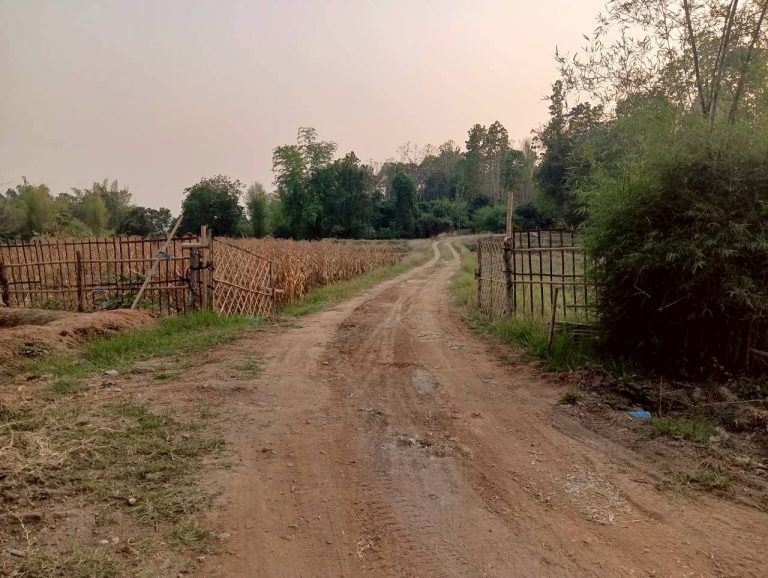 LINE_ALBUM_นาสหการ2_260506_62