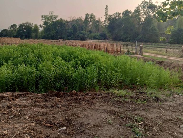 LINE_ALBUM_นาสหการ2_260506_64