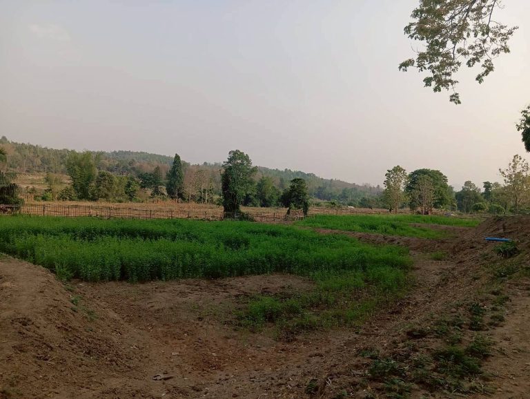 LINE_ALBUM_นาสหการ2_260506_67