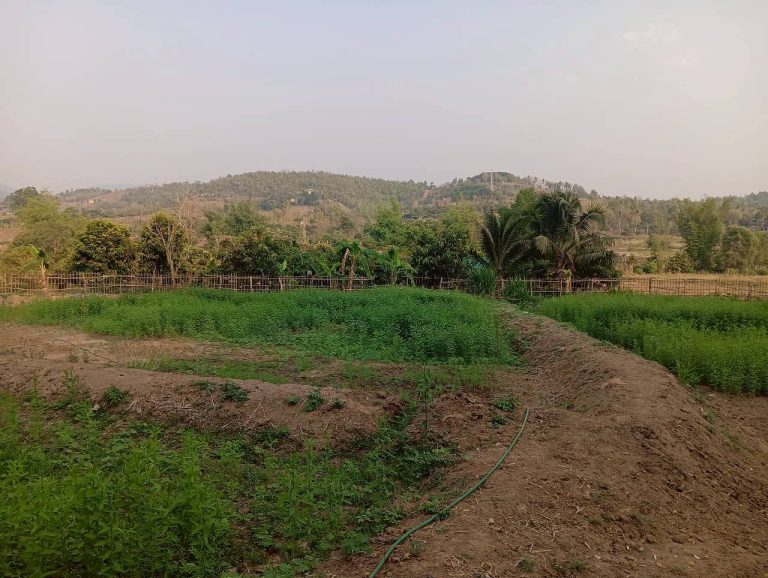 LINE_ALBUM_นาสหการ2_260506_68