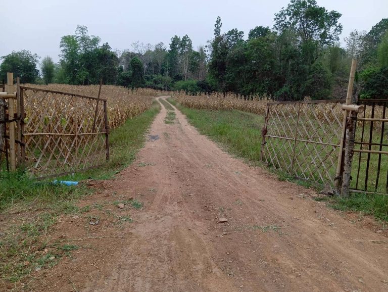 LINE_ALBUM_นาสหการ2_260506_7