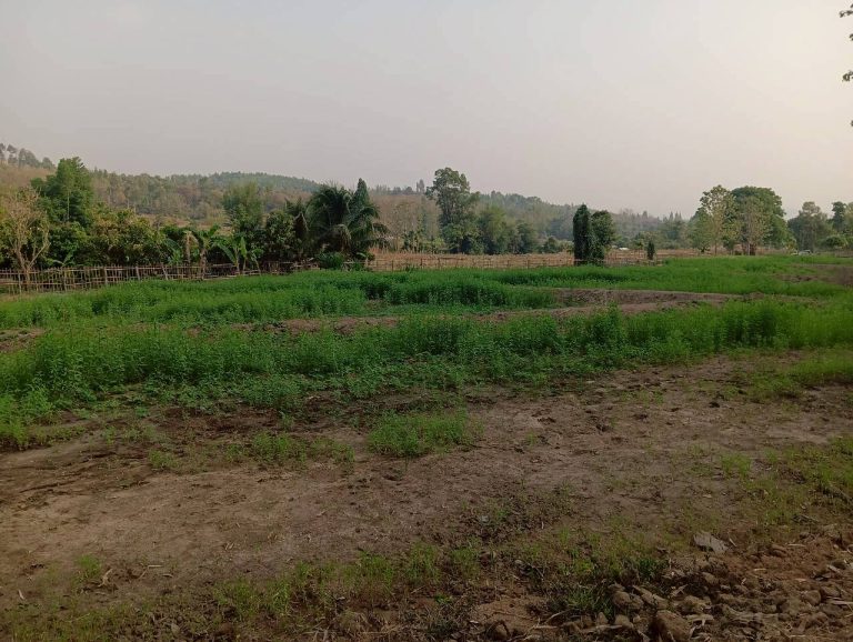 LINE_ALBUM_นาสหการ2_260506_70