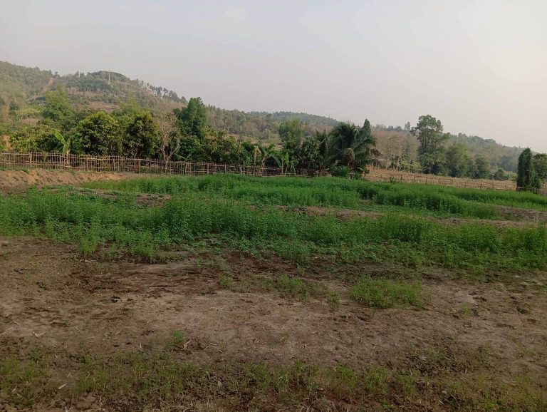 LINE_ALBUM_นาสหการ2_260506_71