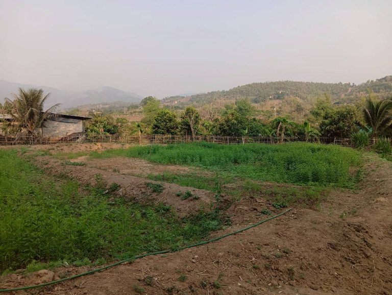 LINE_ALBUM_นาสหการ2_260506_72
