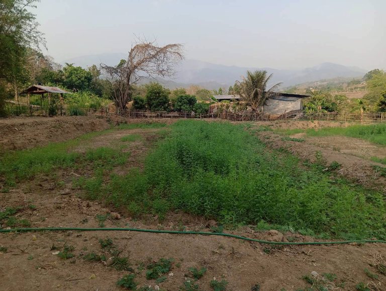 LINE_ALBUM_นาสหการ2_260506_73