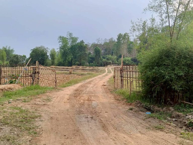 LINE_ALBUM_นาสหการ2_260506_75