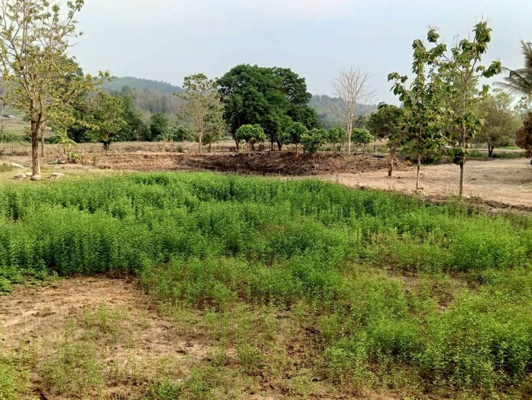 LINE_ALBUM_นาสหการ2_260506_77