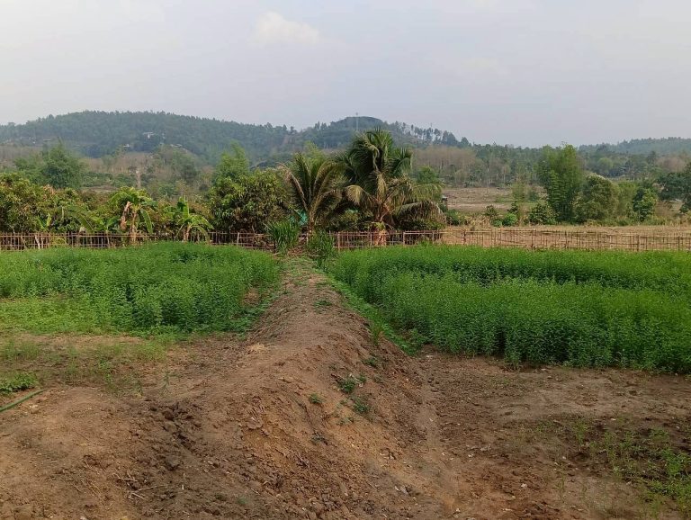 LINE_ALBUM_นาสหการ2_260506_78