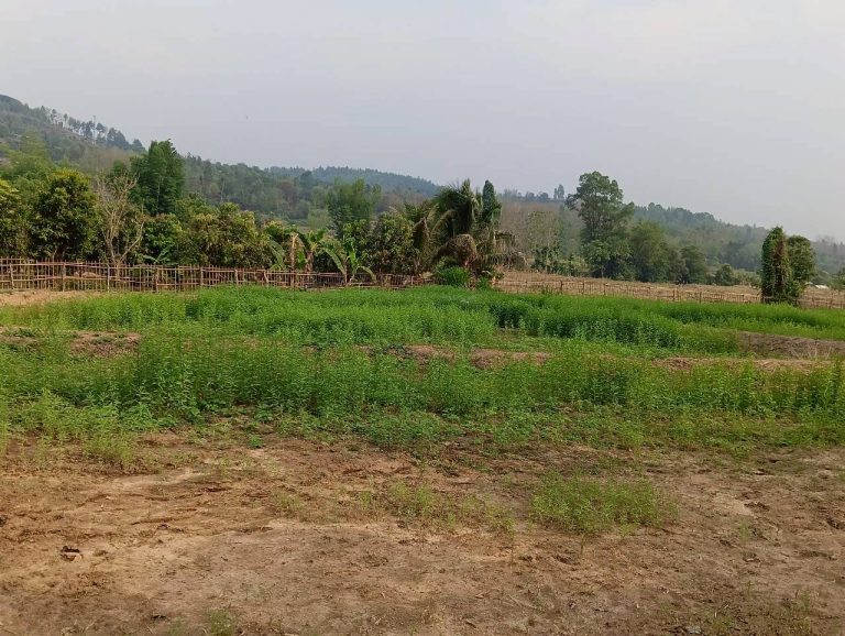 LINE_ALBUM_นาสหการ2_260506_79