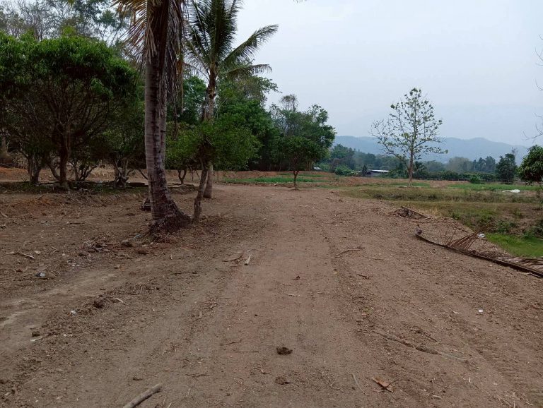 LINE_ALBUM_นาสหการ2_260506_8