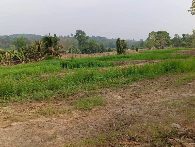 LINE_ALBUM_นาสหการ2_260506_80