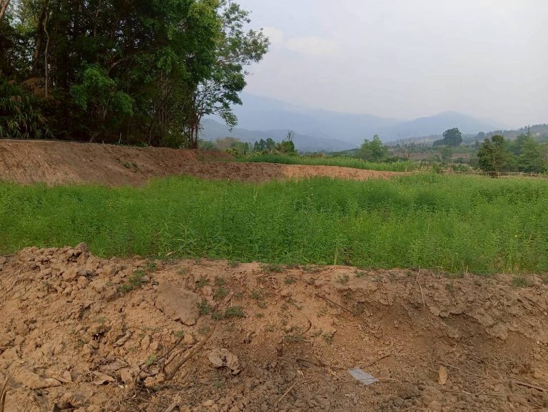 LINE_ALBUM_นาสหการ2_260506_82