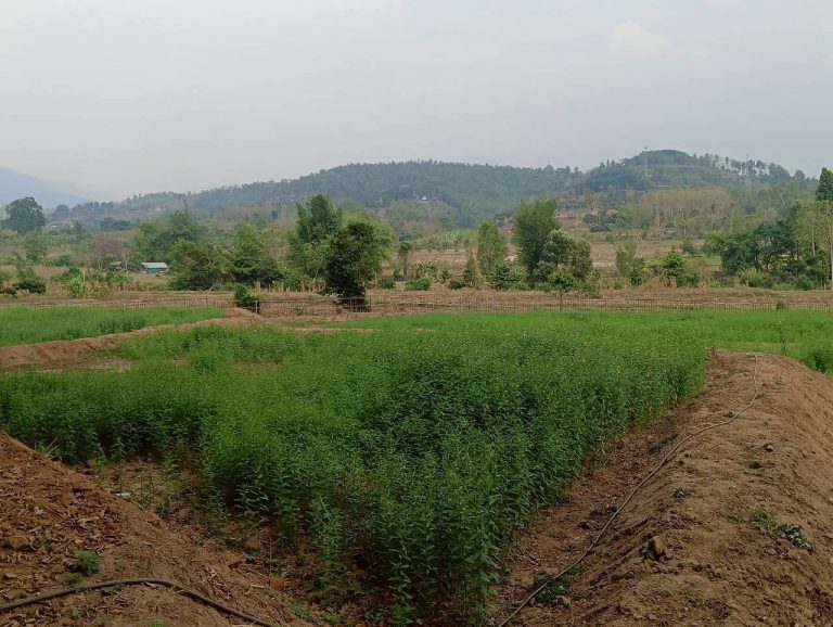 LINE_ALBUM_นาสหการ2_260506_83