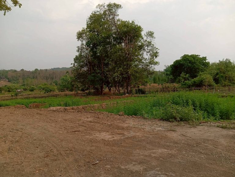 LINE_ALBUM_นาสหการ2_260506_91