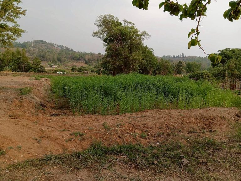 LINE_ALBUM_นาสหการ2_260506_94