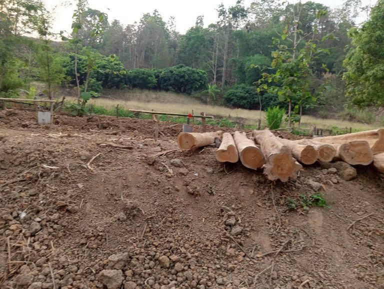 LINE_ALBUM_นาสหการ2_260506_95