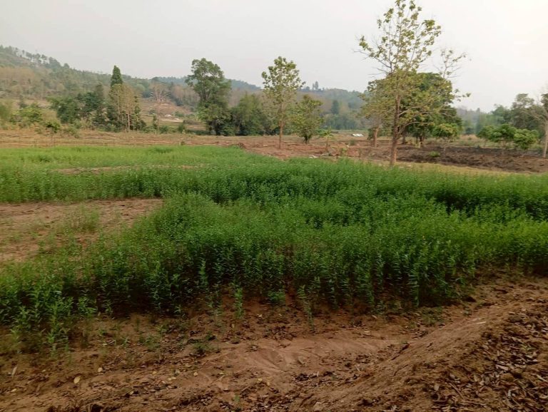 LINE_ALBUM_นาสหการ2_260506_96