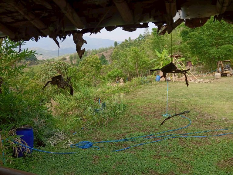 LINE_ALBUM_บ้านชนเผ่า2_260505_134