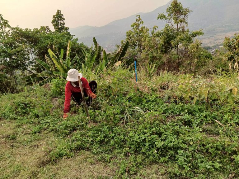 LINE_ALBUM_บ้านชนเผ่า2_260505_47