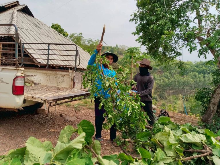 LINE_ALBUM_พื้นที่ส่วนกลาง2_260505_160