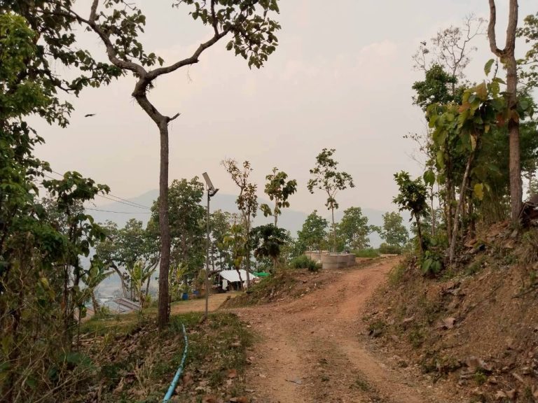 LINE_ALBUM_แปลงเกษตร3_260505_1