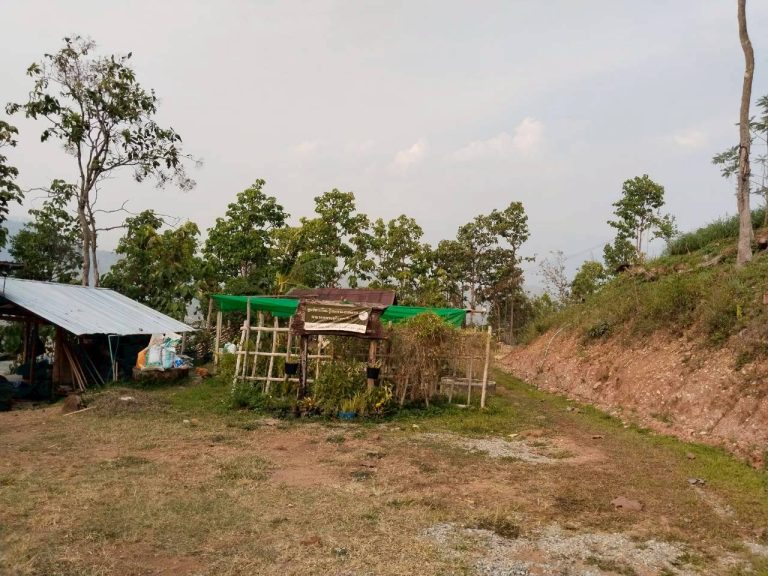 LINE_ALBUM_แปลงเกษตร3_260505_1