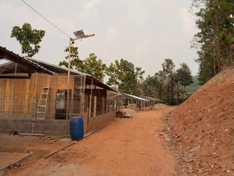 LINE_ALBUM_แปลงเกษตร3_260505_10