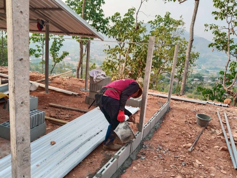 LINE_ALBUM_แปลงเกษตร3_260505_10