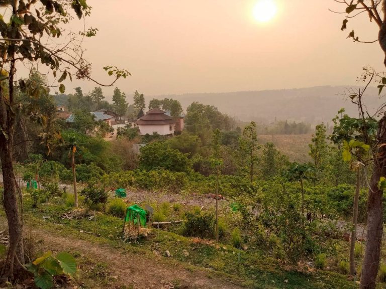 LINE_ALBUM_แปลงเกษตร3_260505_10