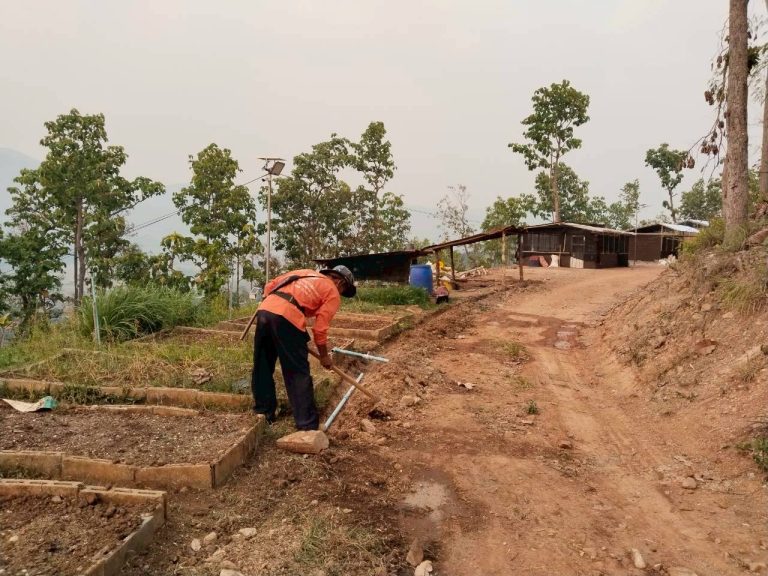 LINE_ALBUM_แปลงเกษตร3_260505_11