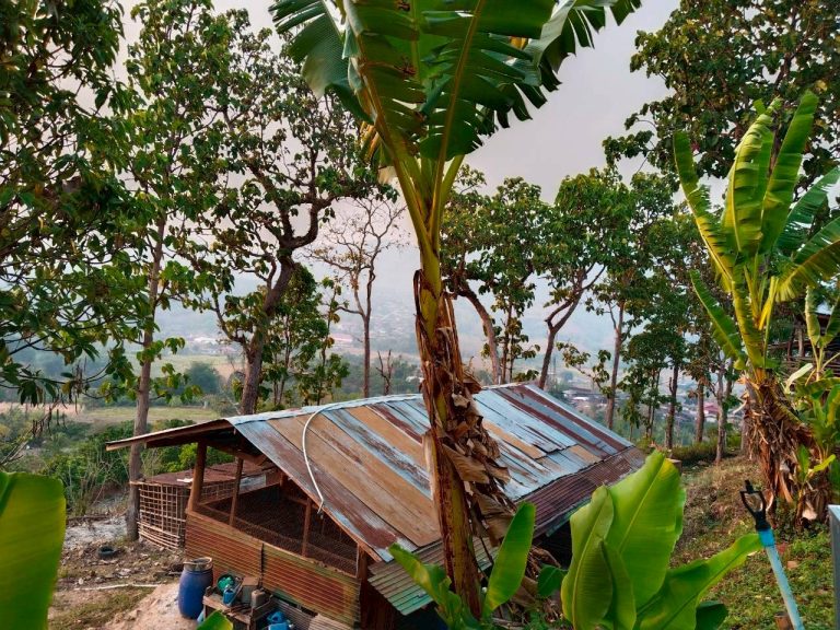 LINE_ALBUM_แปลงเกษตร3_260505_11