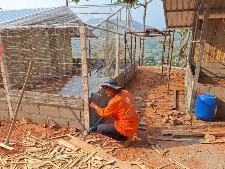 LINE_ALBUM_แปลงเกษตร3_260505_16