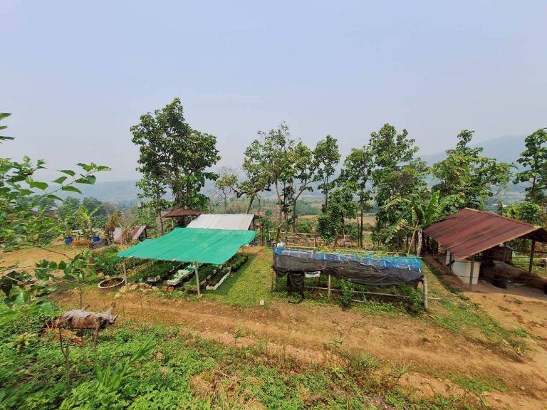 LINE_ALBUM_แปลงเกษตร3_260505_18