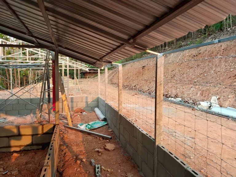 LINE_ALBUM_แปลงเกษตร3_260505_19