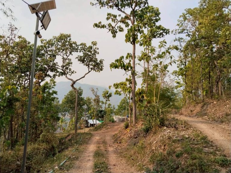 LINE_ALBUM_แปลงเกษตร3_260505_2