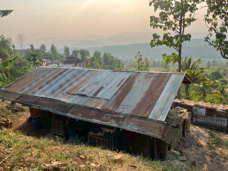 LINE_ALBUM_แปลงเกษตร3_260505_2